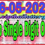 Thai Lottery Down Cut Total Game Last Chance 16-5-2024