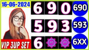 Thai Lottery Vip Single Set With jora Rotten Formula 16.6.2024