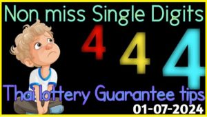 Thai Lotto Single Digit Non Miss 100% Guarantee Tips 01 July 67