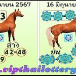 Thailand lottery down game open single directly set win 16/06/2024