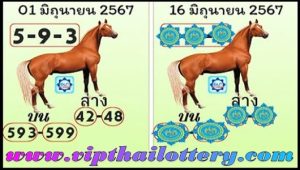 Thailand lottery down game open single directly set win 16/06/2024