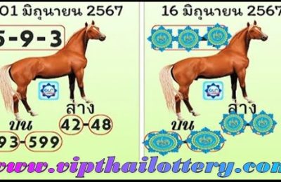 Thailand lottery down game open single directly set win 16/06/2024