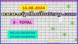 Thai Lottery 3D Hit Chart Route Vip Single Set 16/8/2024