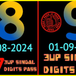 Thai Lottery 3up 100% Direct Set wining chance 01/09/2567