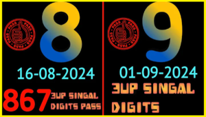 Thai Lottery 3up 100% Direct Set wining chance 01/09/2567