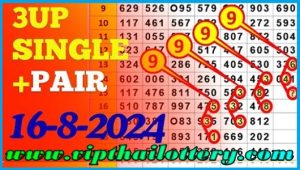 Thai Lotto Live Pair Open Formula 99% Sure Total Digit 16.8.2024