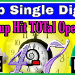 Thai Lottery Nirob Tips Cut Digit Hit Total Open 01-11-2024