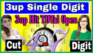 Thai Lottery Nirob Tips Cut Digit Hit Total Open 01-11-2024