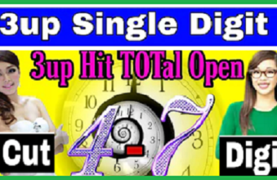 Thai Lottery Nirob Tips Cut Digit Hit Total Open 01-11-2024