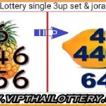 Thai Lottery Single Set With Jora Rotten Formula 01-11-2024