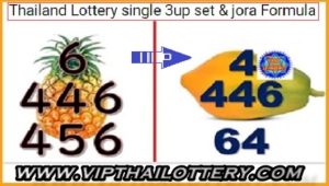 Thai Lottery Single Set With Jora Rotten Formula 01-11-2024