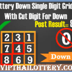 Thai Lottery Down Single Cut Digit Grid Paper 16-11-2024