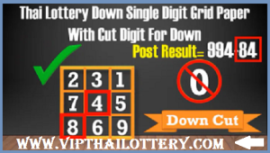 Thai Lottery Down Single Cut Digit Grid Paper 16-11-2024