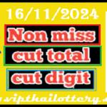 Thailand Lottery Cut Digit Total Non-Missed Number 16-11-2024