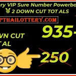 Thai Lottery Vip Sure Number Powerball Winner Totals 16.02.2025