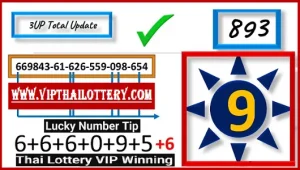 Thai Lottery Vip Winning Lucky Number Tip Total 30-12-2024