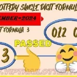 Thai Lotto Vip Total 3up Single Digit Formula 30 December 2024