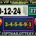 Thai Lotto Vip Total Magic Tipss 2d & 3d Formula 30-12-24