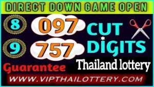 Thailand Lottery Down Cut Digits Old Game Tips 01-02-2025