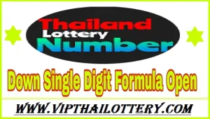 Thailand Lottery Game Open Down Single Digit Formula Number