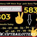 Thailand Lottery Vip New Pair Sets Tips 30th December 2024