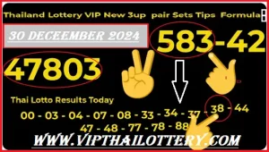 Thailand Lottery Vip New Pair Sets Tips 30th December 2024