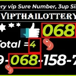 Thailand Lottery Vip Total Paper Sure Number 16th December 2024