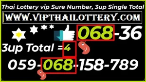 Thai Lottery Sure Namber 3d Vip Tip Total Paper 30-12-2024