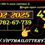 Thai Lottery 100% Sure Namber Open Single Vip Tips 01-02-2025