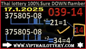 Thai Lottery 100% Sure Namber Total Down Digit 17-01-2025