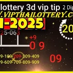 Thai Lottery 3d Vip Tip Two Digit Game 100 % Sure Namber 17-01-2025