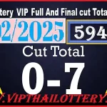 Thai Lottery Cut Total Game Vip Full and Final Game 01-02-2025