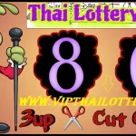 Thai Lotto Vip Total 3up Cut Code Tips 1st February 2025