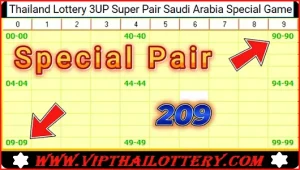 Thailand Lottery Tips Super Pair Special Game 01 February 2025