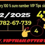 Thai Lottery 100% Sure Namber Vip Tips Single Open 16-02-2025