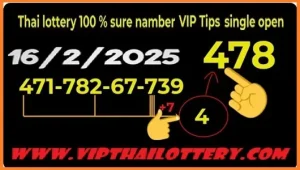 Thai Lottery 100% Sure Namber Vip Tips Single Open 16-02-2025