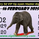 Thai Lottery 3d Vip Tip Master Digit Formula 16th February 2025