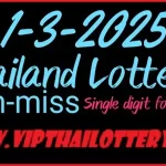 Thailand Lottery Vip Tips Non-miss Single Digit Formula 1-3-2025