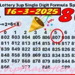 Thailand Lottery Sure Namber Single Digit Formula Special 16-03-2025