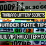 Thai Government Lottery Online Direct 2 Down Sure Tips 01.6.2025