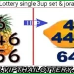 Thai Government Lottery Single Set Jora Total Updated 16-05-2025