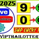 Thai Lottery Today 3D Win Lucky Number Vip Tips 01-06-2024