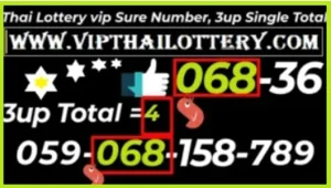 Thai Lottery Vip Sure Number 3up Total Single Paper 01-06-2025