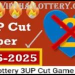 Thailand Lottery 3UP Cut Paper VIP Game Update
