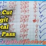 Thailand Lottery 3up Total Cut 100% Sure Namber Win