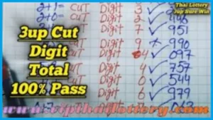Thailand Lottery 3up Total Cut 100% Sure Namber Win