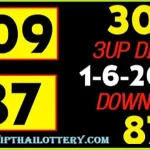 Thailand Lottery Direct Down Set Winning Sure Result 01-06-2025