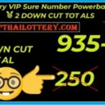 Thailand Lottery Vip Sure Number 2 Down Live Winner 16.05.2025