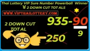Thailand Lottery Vip Sure Number 2 Down Live Winner 16.05.2025