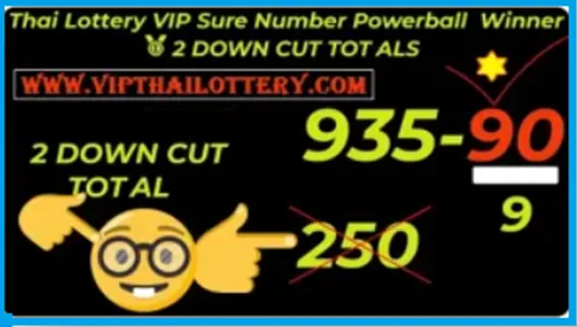 Thailand Lottery Vip Sure Number 2 Down Live Winner 16.05.2025